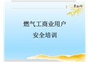 工商業(yè)用燃?xì)獍踩嘤?xùn)課件
