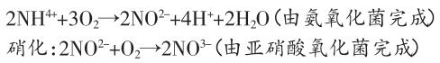 QQ截圖20181224105642.jpg